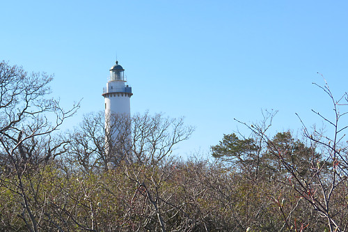 Der L&aring;nge Eric